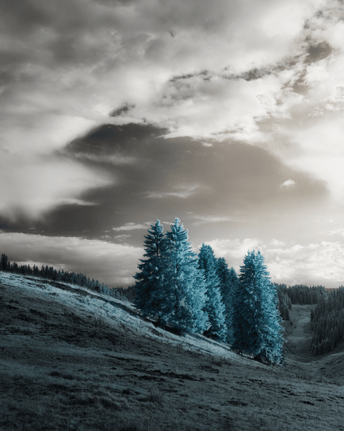 1R 7R335- Another Light