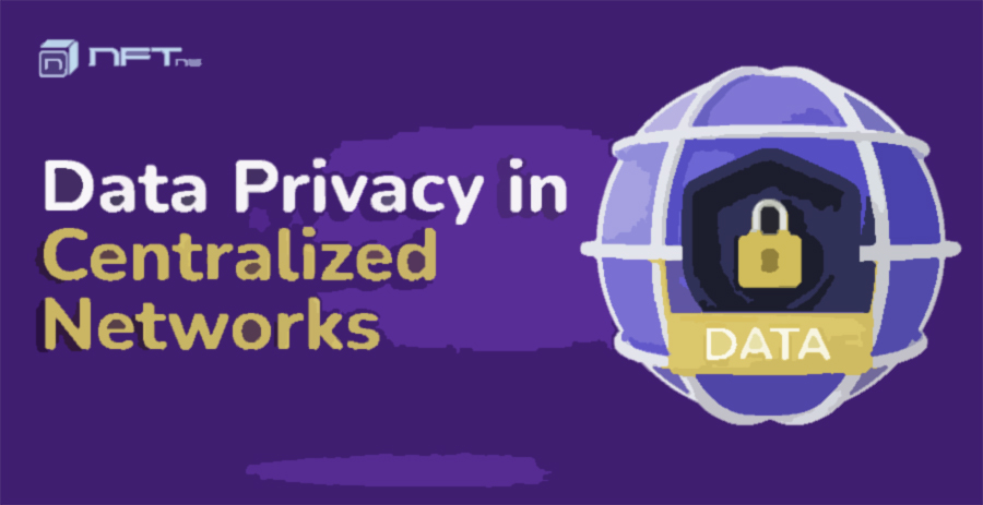 How Data Privacy Works in Centralized Networks