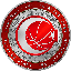 Turkish Basketball Federation Fan Token