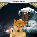 Shiba Cards