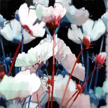 ANDRE_FANTASMAGORIE #1