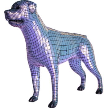 Crypto Dog Collection