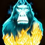 SERIOUS AND SMART MONKEYS