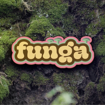 Funga