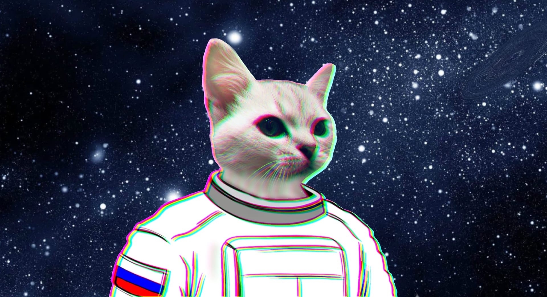 Space Cat