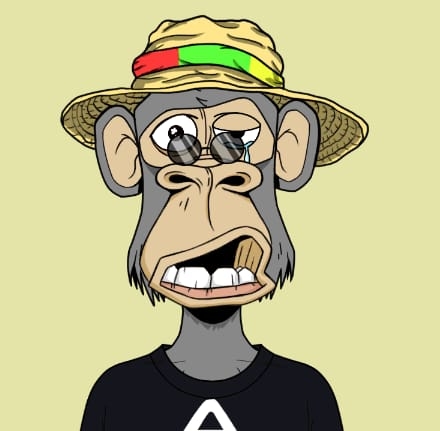Bored ape monkey