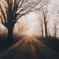 Seasonal - Bryan Minear