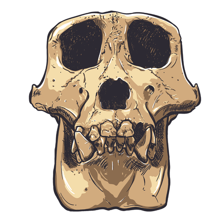 WEIRD APE YACHT CLUB PREMIUM