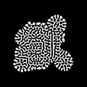 DEEPOBJECTS.ai - Studio Pass