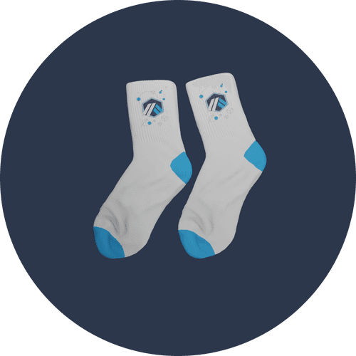 ArbitrumSocks