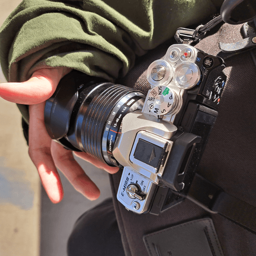 Hayashi's Photo Collection