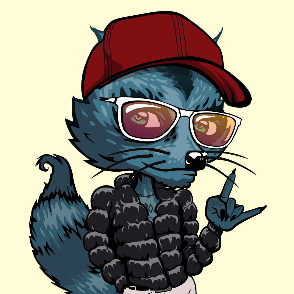 Rocker Nation Raccoons