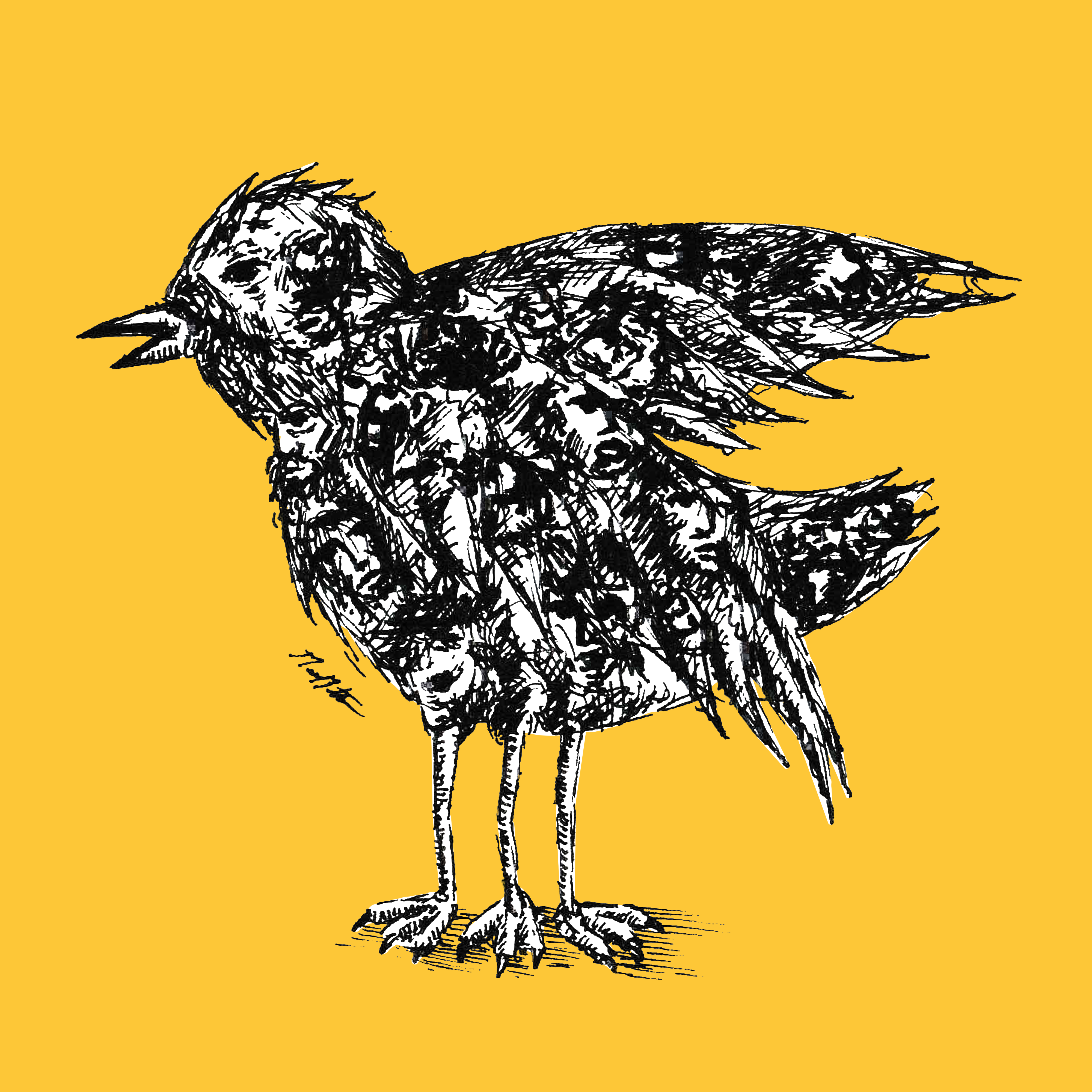 Finding Faces by HashLips