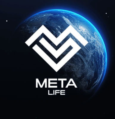 Meta life Armor