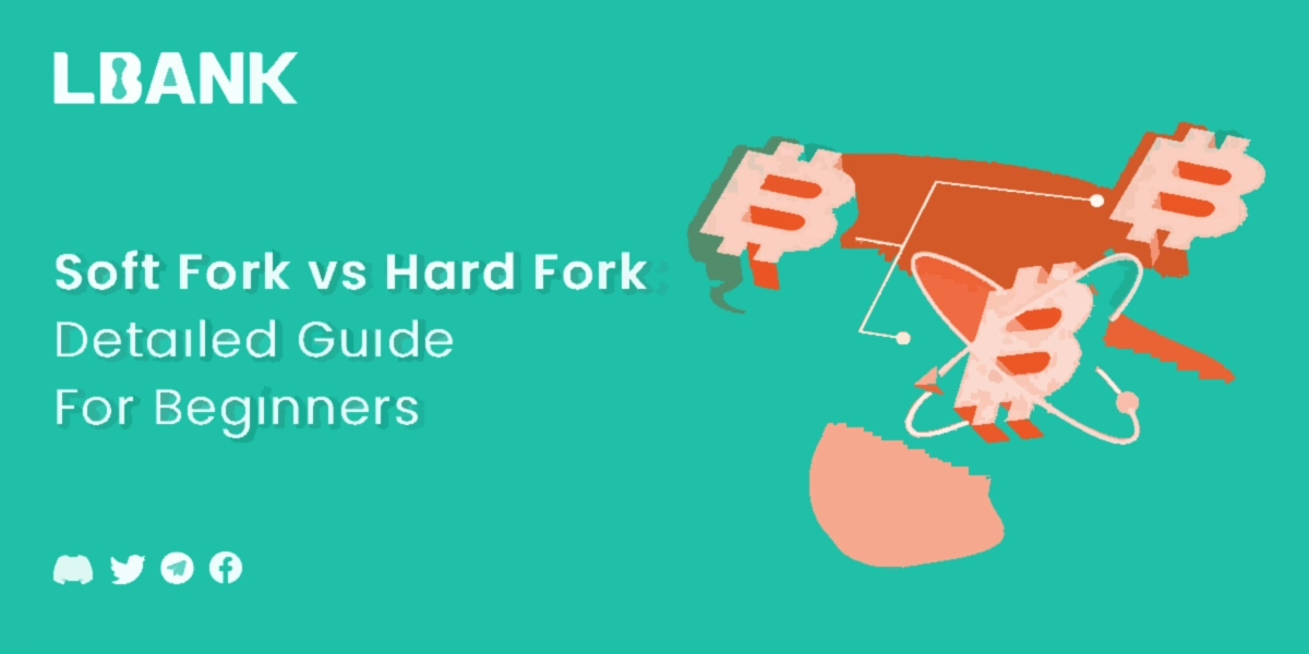 Soft Fork vs Hard Fork: Detailed Guide For Beginners