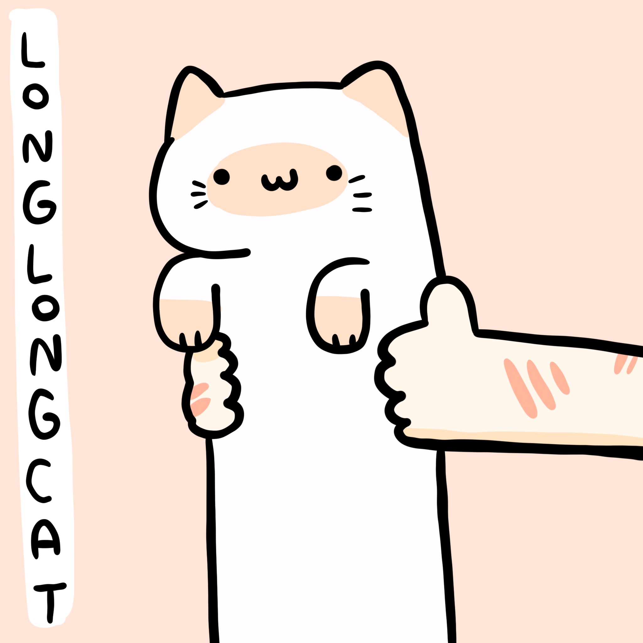 Long long cats on SOL