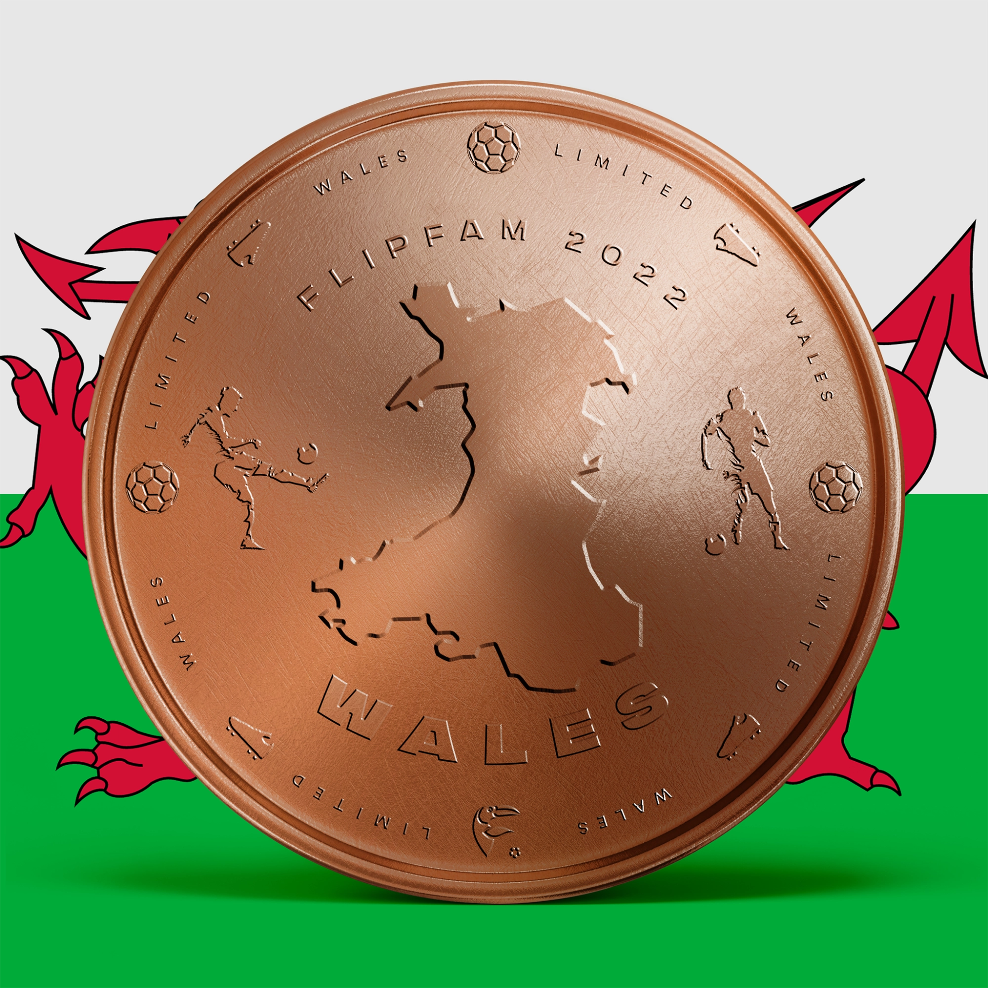 Wales 2022 FlipFam Cup