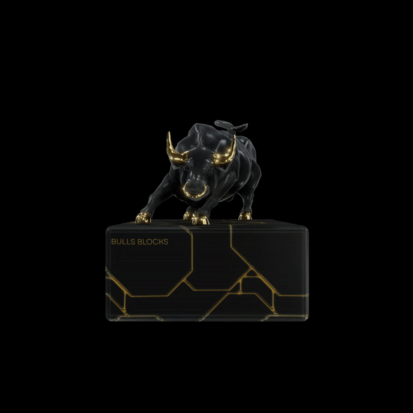 Bulls Blocks