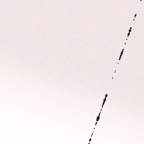 SeiPunks Genesis Collection