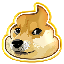 Poo Doge