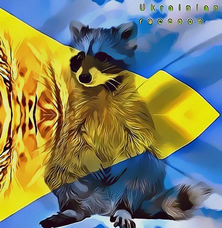 Ukrainian Raccoon