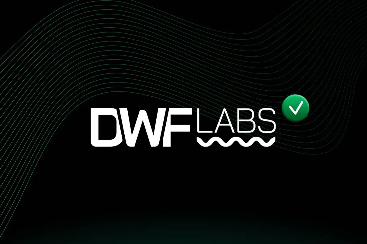 频频出手的DWF Labs是谁？「VC+做市商」，每月定投5个项目
