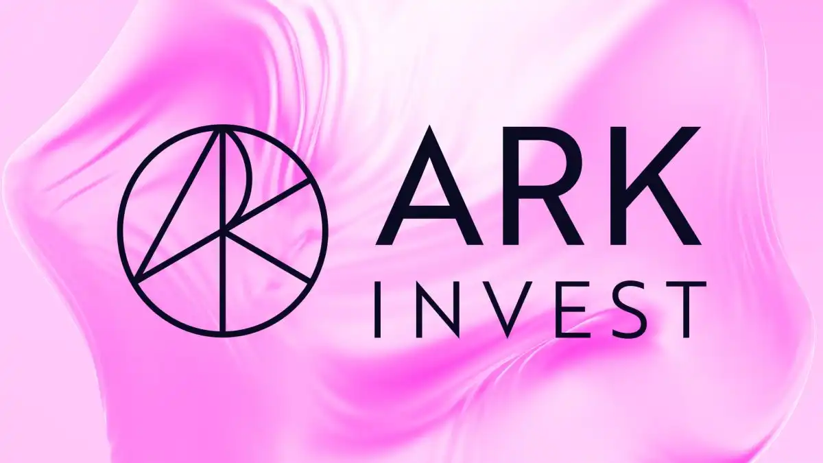 Ark Invest buys $30 million worth of Circle shares amid post-earnings selloff