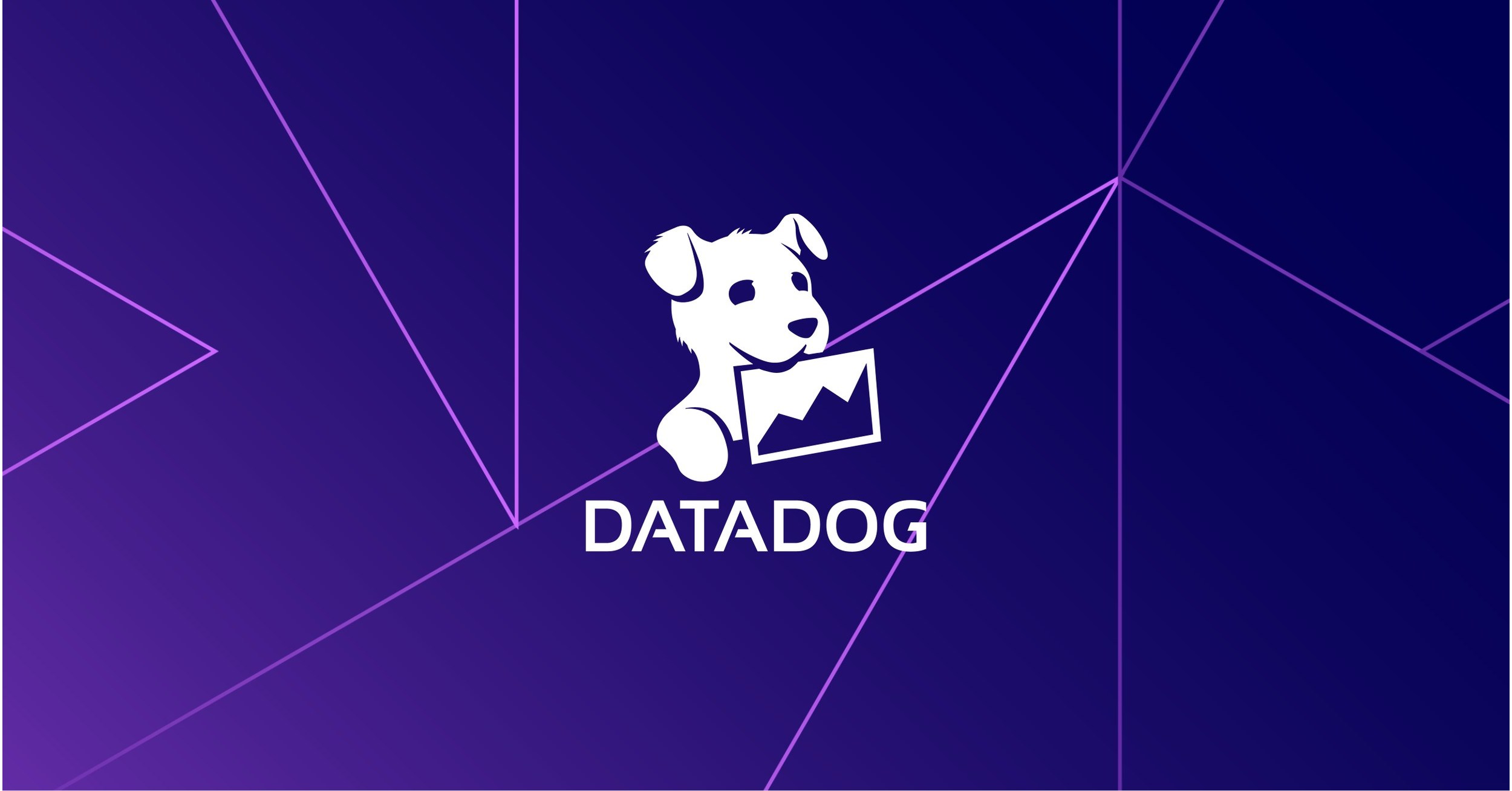 谜底揭晓：这家加密货币公司在 Datadog 上一年花了 6500万美元