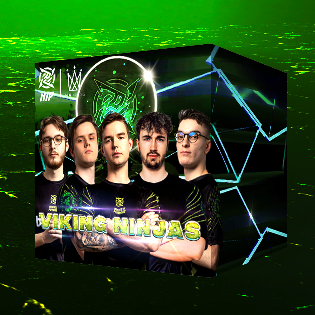 Viking Ninjas Mystery Box