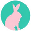 RABBIT TECHNOLOGY
