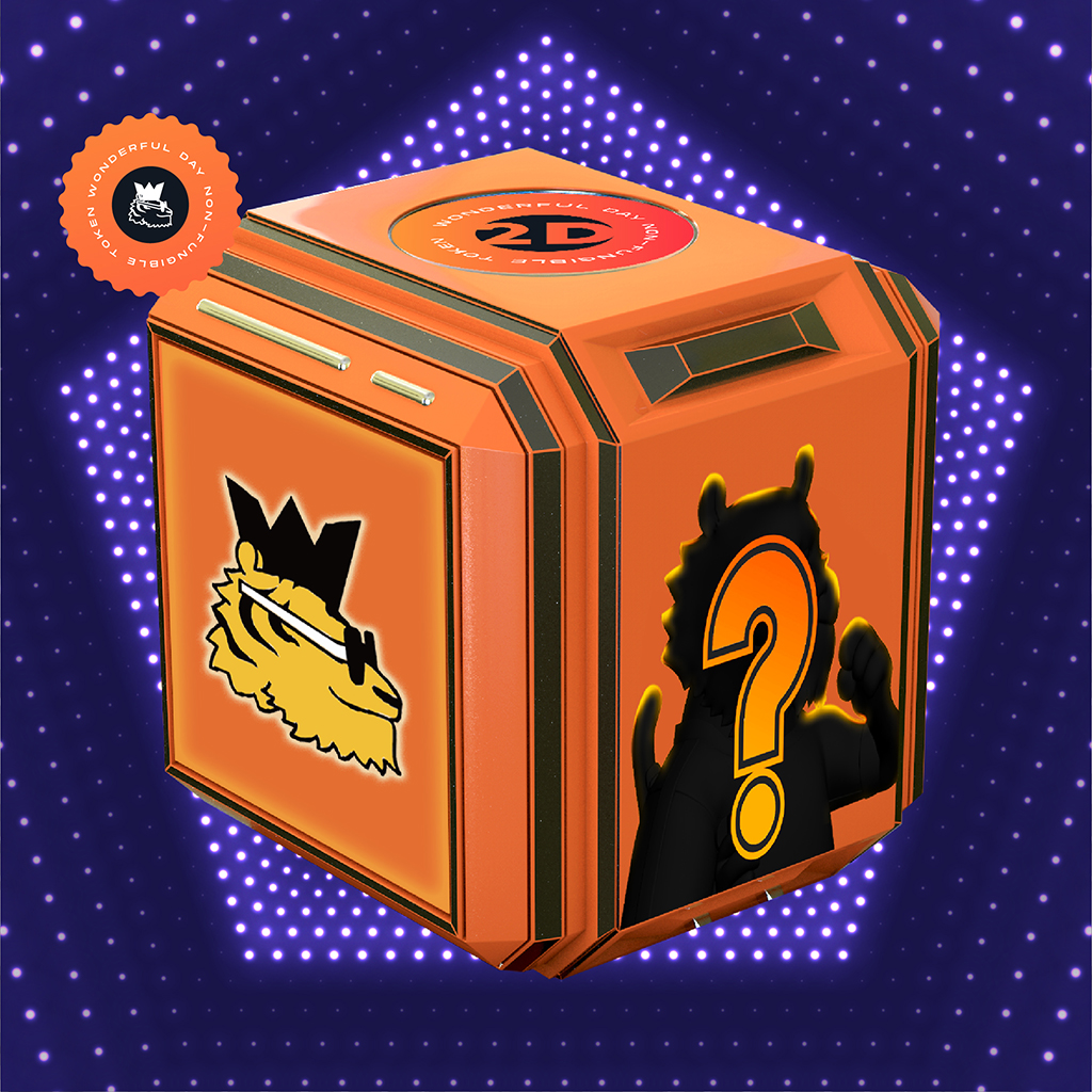 WonderfulDay Mystery Box