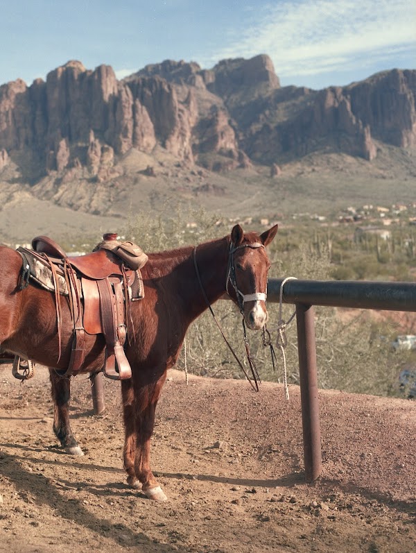 Unidentified contract - 9h7lh4I9Lo