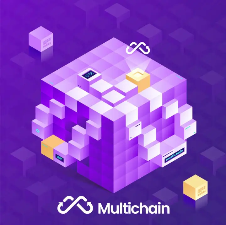 Multichain✖️SpaceID NFT