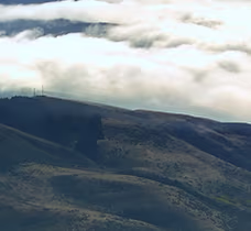 Multi-Edition mainnet 1