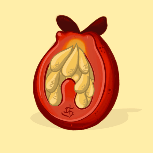 !SOLORAISE | La semilla de la Rosa