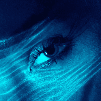 PAULO RENFTLE open edition