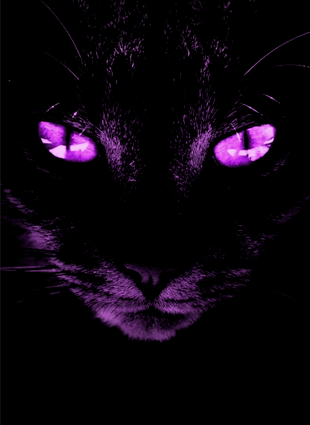 CANARİA  Vik Vik & Baby