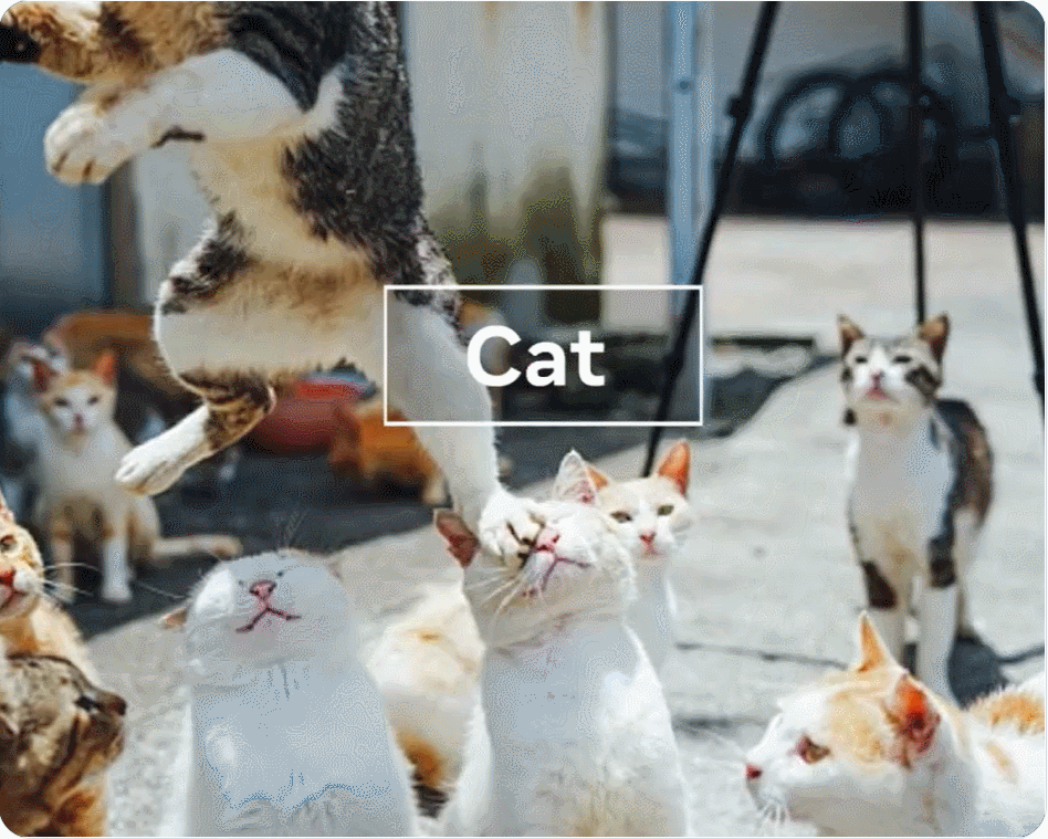 机器视觉领域迎来GPT-3时刻 新模型接连炸场