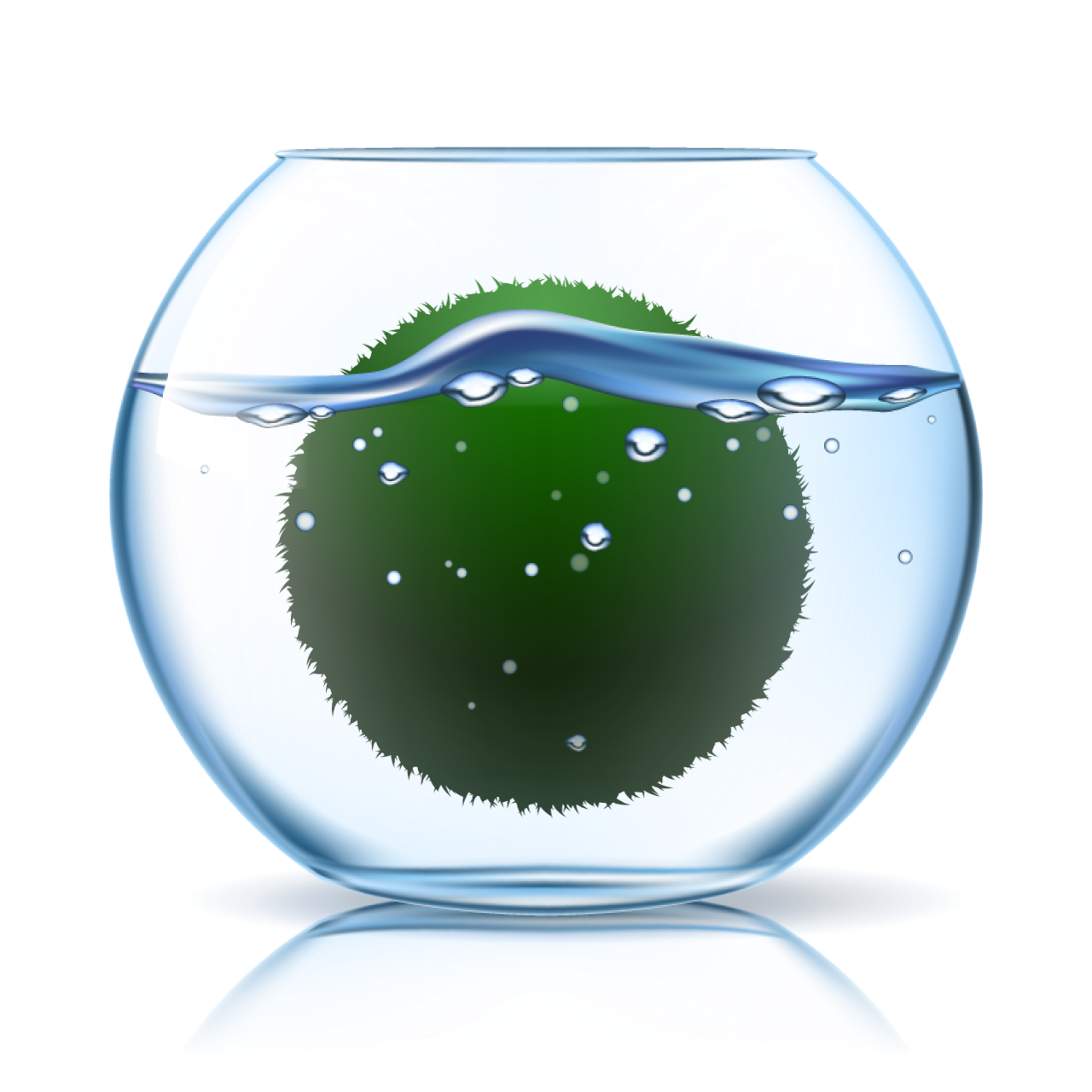 Marimo