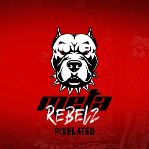 MetaRebelzPixelz