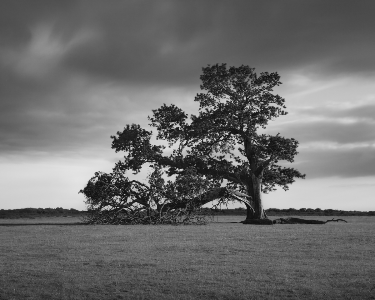 Unidentified contract - UmcmGRtOSM