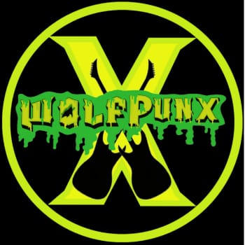 WolfpunX Lead Guitarist