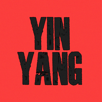  Project Yin Yang