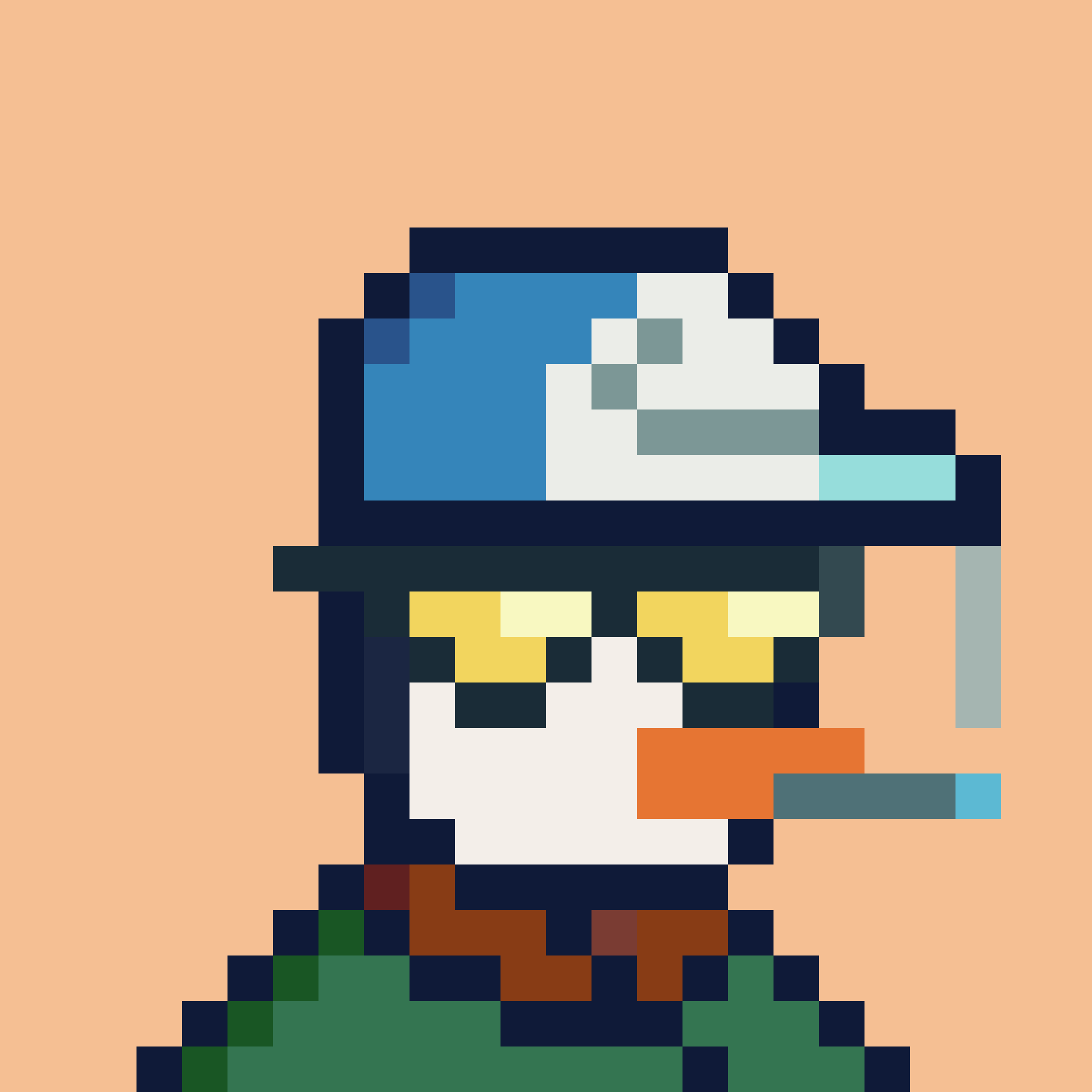 Solana Penguin Business