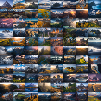 Wilderness to Blockchain