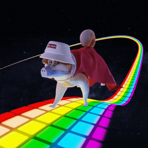 Doge Track: Genesis Doges