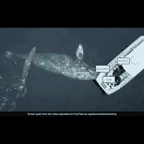 Discord? Utility? Scam (Ep. 2)