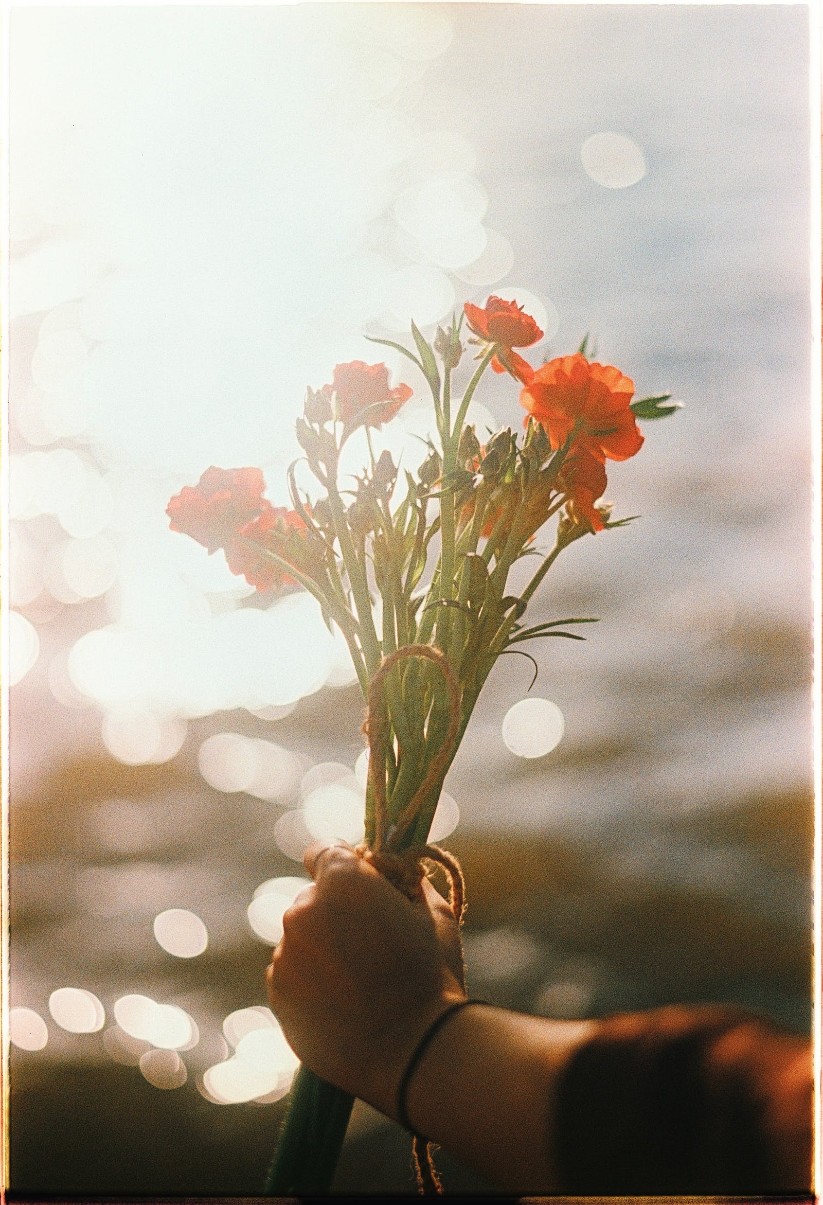 3月加密叙事展望：LSD仍为核心事件，关注ZK发展趋势