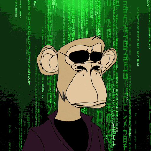 APE FANTASY COLLECTION