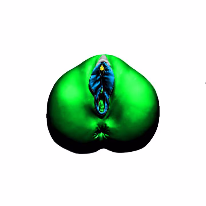 Vagina collection 1 8a1eff